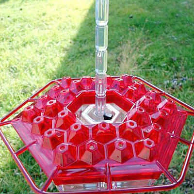 Dotmalls Hummingbird Feeder